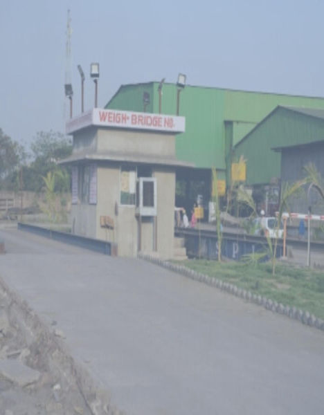 Real Ispat & Energy Pvt. Ltd.